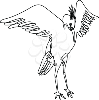 Continuous line drawing illustration of a crane spreading wings front view done in mono line or doodle style in black and white on isolated background. 