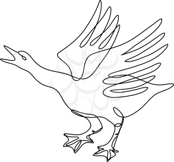 Continuous line drawing illustration of an angry goose about to attack done in mono line or doodle style in black and white on isolated background. 