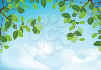 Royalty Free Clipart Image of Tree Branches and the Sky