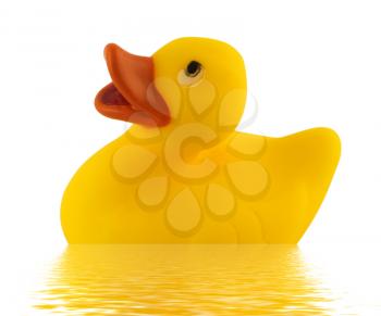 Royalty Free Photo of a Rubber Duck