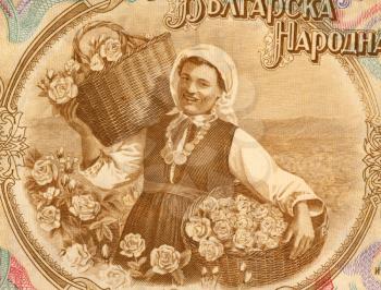 Royalty Free Photo of a Woman Harvesting Roses on 50 Lev 1951 Banknote from Bulgaria