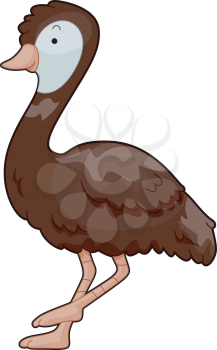 Royalty Free Clipart Image of an Emu