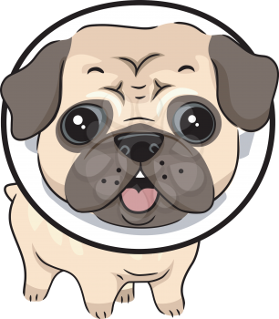 Illustration of a Dog Wearing a Protective Collar