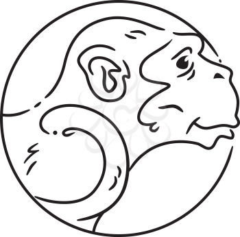 Illustration Symbolizing the Year of the Monkey