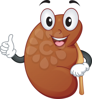 Mascot Illustration Featuring a Healthy Kidney Giving a Thumbs Up
