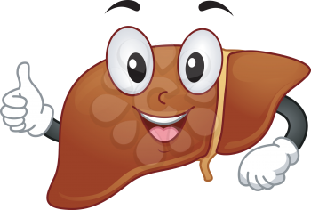 Mascot Illustration Featuring a Liver Giving a Thumbs Up