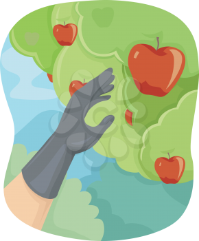 Illustration Featuring a Hand Picking Apples from a Tree