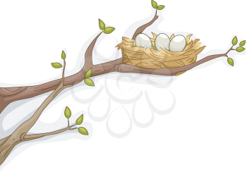 Illustration Featuring a Bird's Nest Resting on a Tree Branch