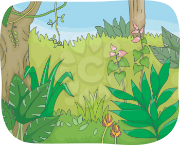 Illustration of a Forest with Lush Vegetation