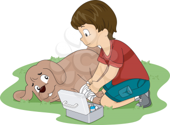 Illustration of a Little Boy Applying First Aid Measures on His Dog