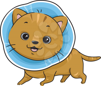 Illustration Featuring a Cat Wearing a Cat Collar