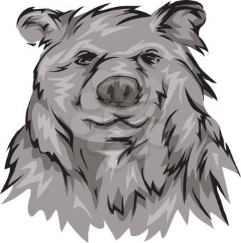 Illustration Featuring a Grizzly Bear