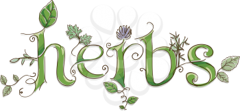 Text Illustration Featuring the Word Herbs Done in Ornate Lettering