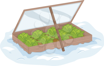 Illustration Featuring Winter Plants in a Box