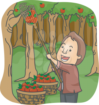 Illustration of a Man Picking Apples in an Orchard