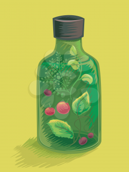 Illustration of a Bottle Filled with a Mix of Herbal Plants