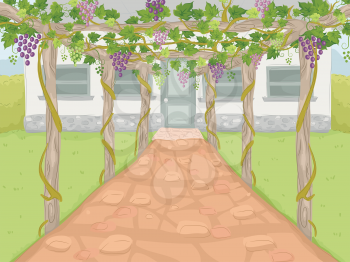 Illustration of a Wine Estate with a Path Covered by Grape Trellises Leading to the Main House