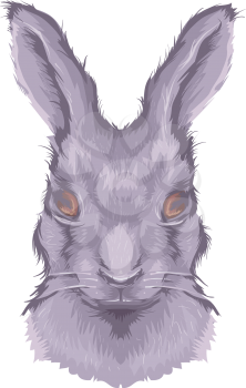 Illustration Featuring the Head of a Large Fluffy Hare