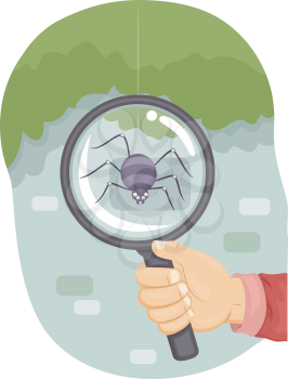 Illustration of a Kid Using a Magnifying Glass to Examine a Spider