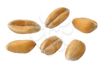 Royalty Free Photo of Wheat Seeds