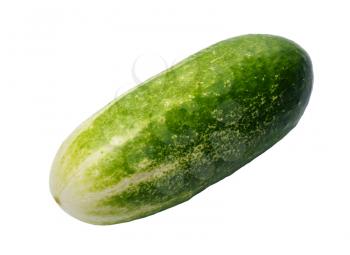 One cucumber on a white background, isolated