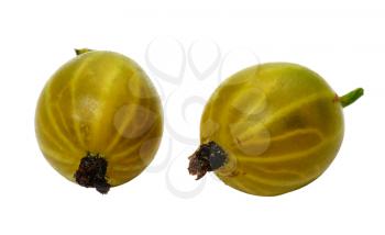 Royalty Free Photo of Two Gooseberries