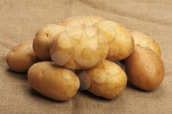 Royalty Free Photo of Potatoes on Brown Sacking