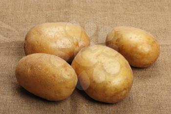 Royalty Free Photo of Potatoes on Sacking