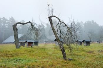 Royalty Free Photo of a Rural Landscape