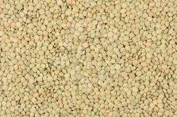 Royalty Free Photo of Lentils