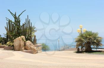 Ein Gedi - an oasis on the shore of the Dead Sea