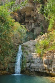 Ein Gedi nature reserve, coast of the Dead Sea.
