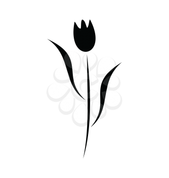 Royalty Free Clipart Image of a Black Tulip