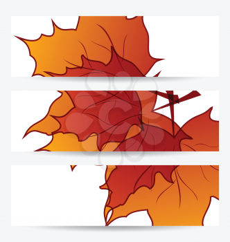 Illustration set autumnal cards with maple leaves - vector