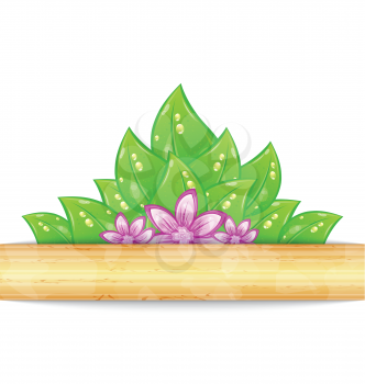 Illustration eco friendly background with green leaves, flower, wooden texture - vector