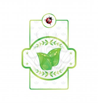 Illustration natural eco label with green leaves for packing product - vector