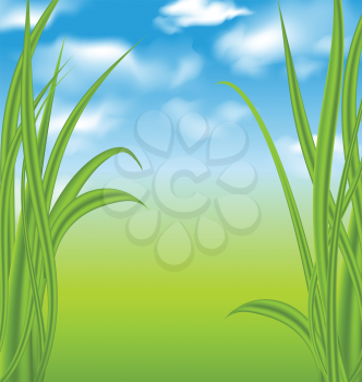 Illustration nature background with green grass and sky - vector