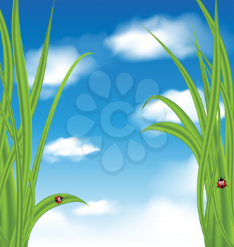 Illustration nature background with green grass and ladybug - vector