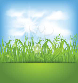 Illustration spring beautiful card, natural background - vector