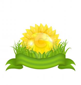 Illustration nature symbols -  sun, green leaves, grass, ribbon - vector