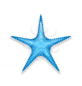 Illustration blue starfish isolated on white background - vector
