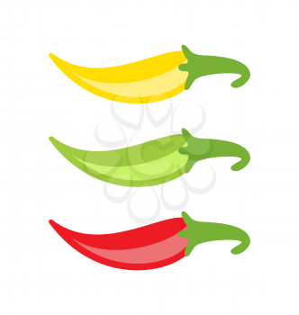 Illustration Collection Colorful Chilli Peppers Isolated on White Background - Vector