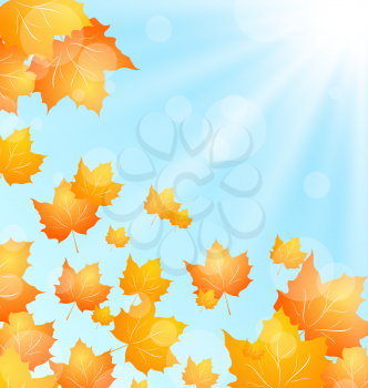 Illustration Autumn Background with Flying Maples and Sunny Beams - Vector