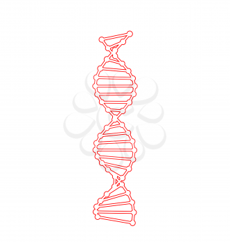 DNA Molecules Isolated on White Background - vector
