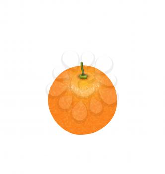 Illustration Photo-realistic Orange Fruit Isolated on White Background - Vector