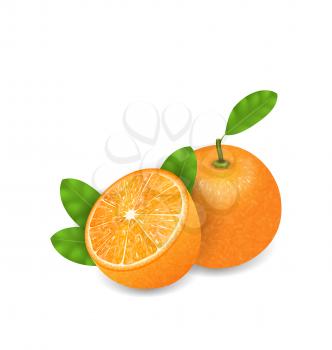 Illustration Photo Realistic Set Orange Fruits, Cut and Slices, Ripe Citrus - Vector