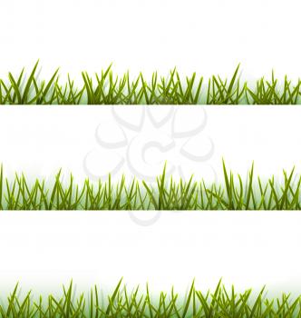 Realistic green grass collection isolated on white background - vector