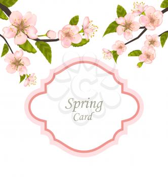 Illustration Spring Elegant Card with Blossoming Tree Branches - Vector
