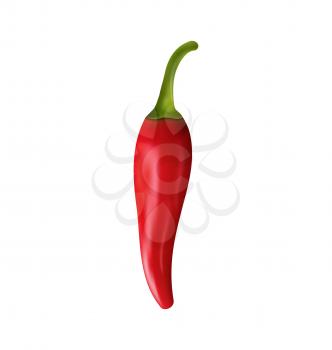 Illustration Red Chili Pepper Isolated on White Background - Vector