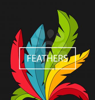 Illustration Creative Background with Colorful Feathers - Vector